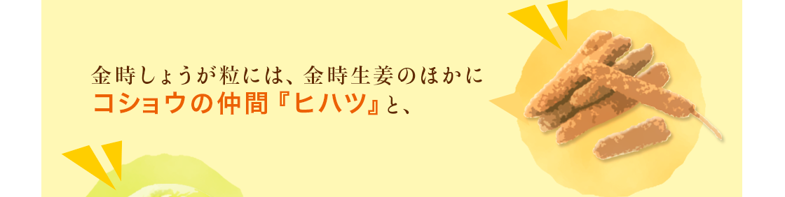 金時しょうが粒には、金時生姜のほかにコショウの仲間『ヒハツ』と、